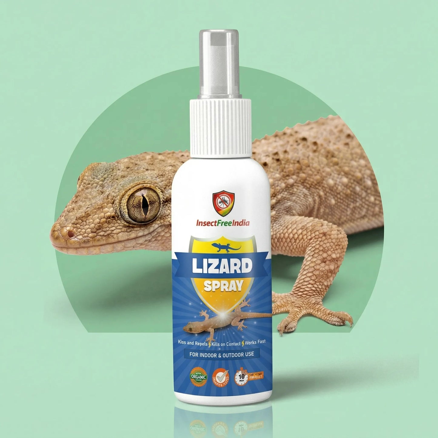 Lizard Repellent Spray for Home & Kitchen | Herbal & Natural Formula | Safe for Family | Insect Free India