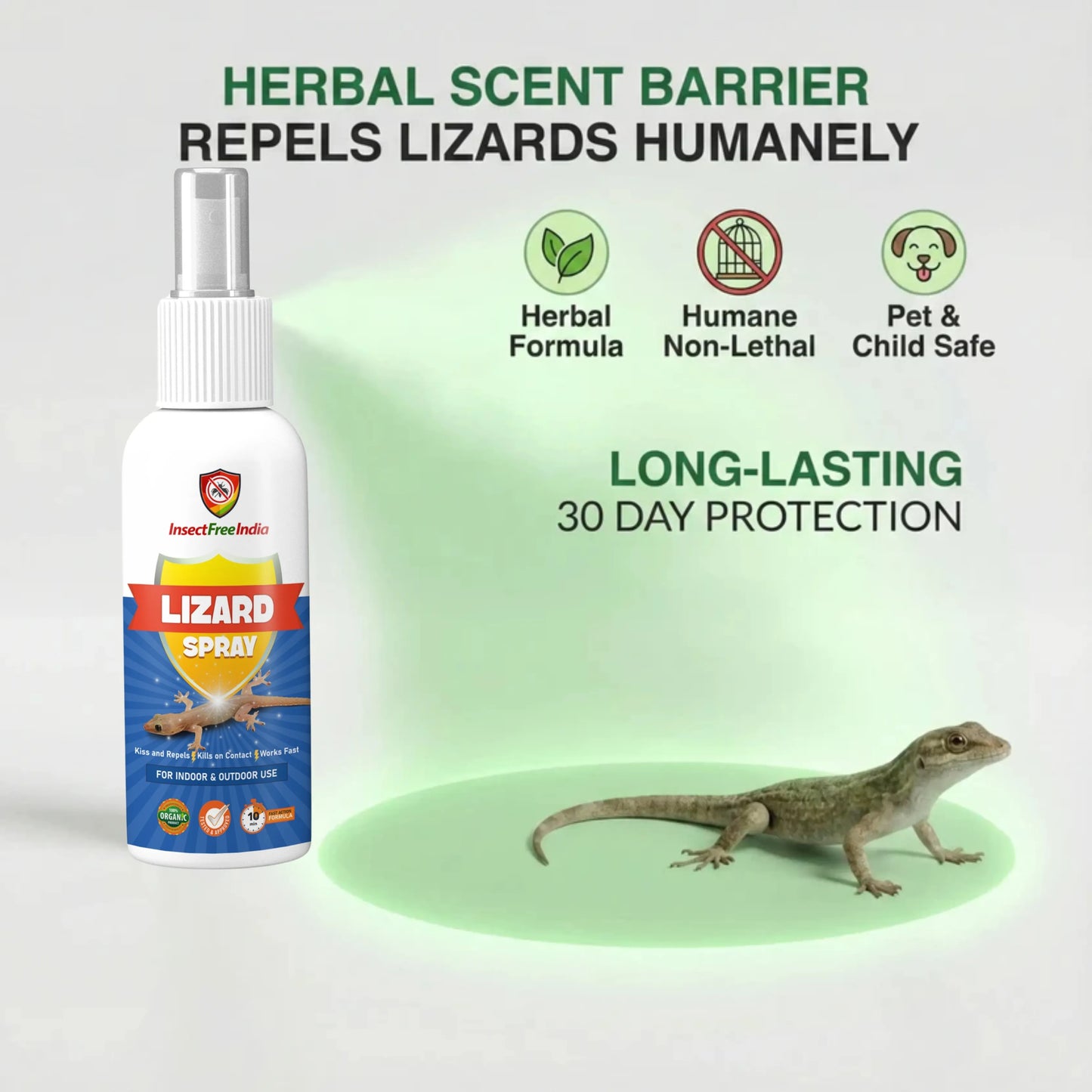 Lizard Repellent Spray for Home & Kitchen | Herbal & Natural Formula | Safe for Family | Insect Free India