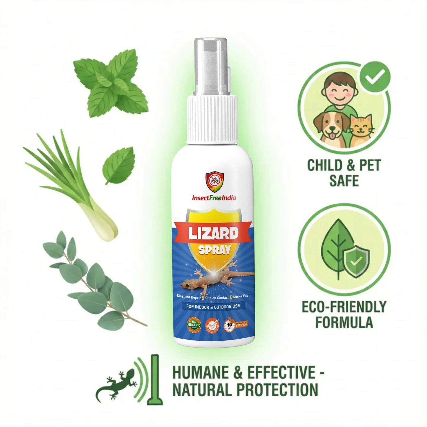 Lizard Repellent Spray for Home & Kitchen | Herbal & Natural Formula | Safe for Family | Insect Free India