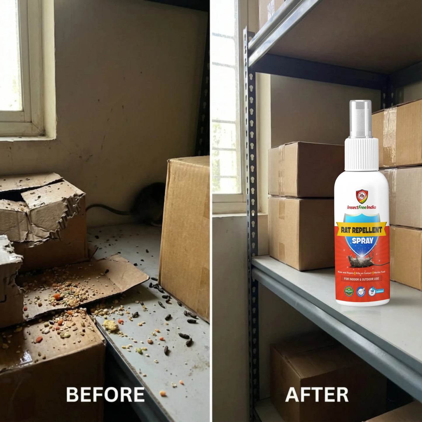 Rat Repellent Spray for Home & Storage | Herbal Rodent Control | Non-Toxic & Safe | Insect Free India